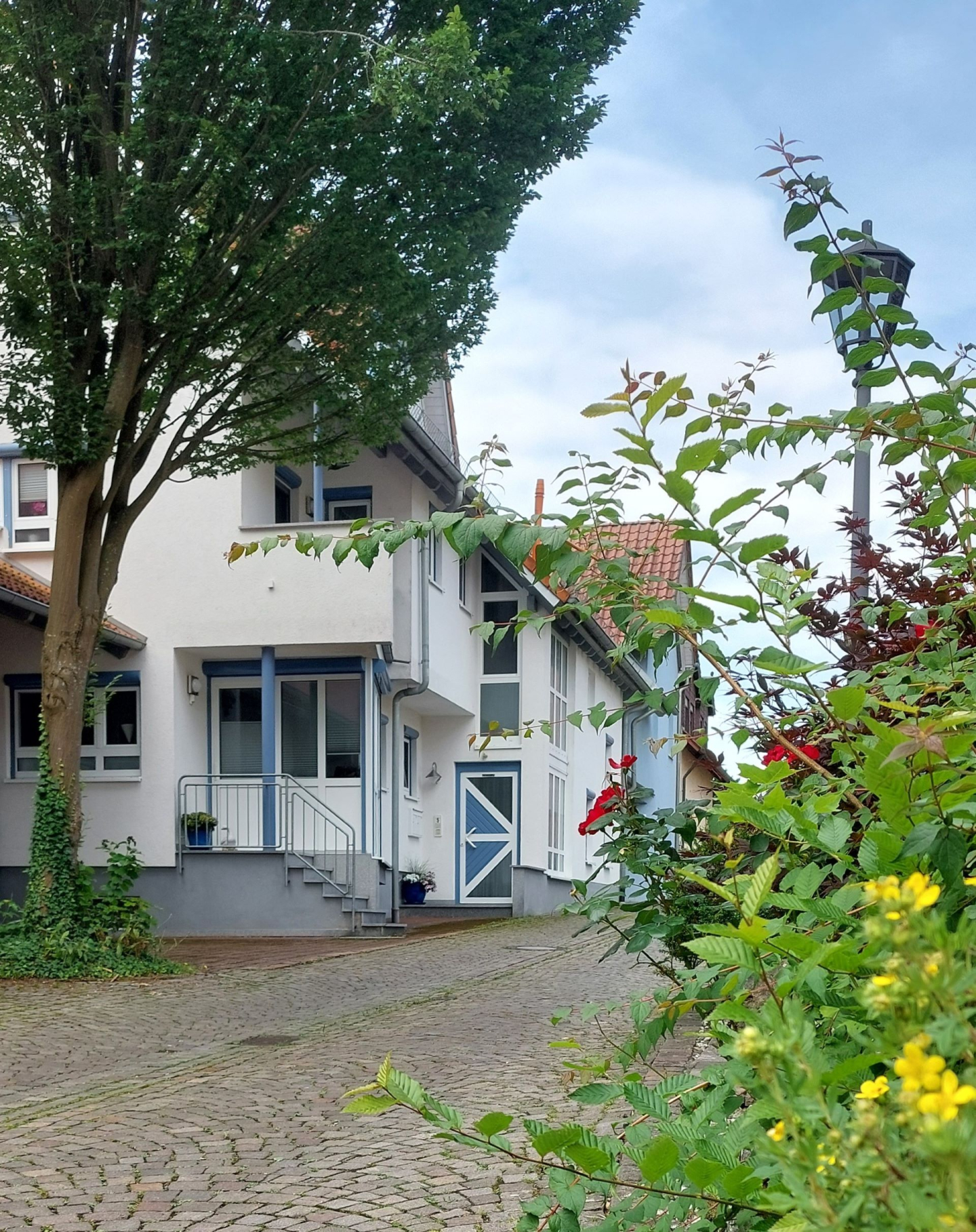 Fewo Höhbergblick